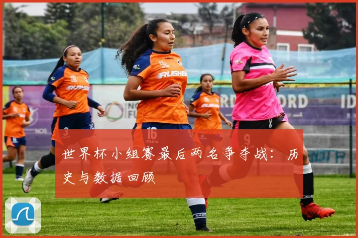 世界杯小组赛最后两名争夺战：历史与数据回顾