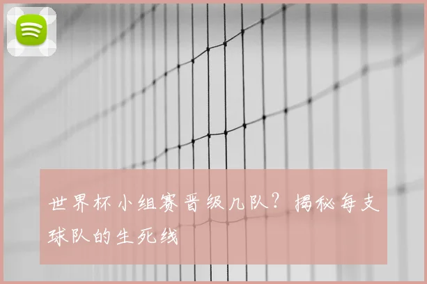 世界杯小组赛晋级几队？揭秘每支球队的生死线